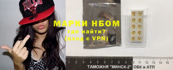 дживик Богородицк