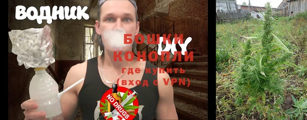 дмт Ладушкин
