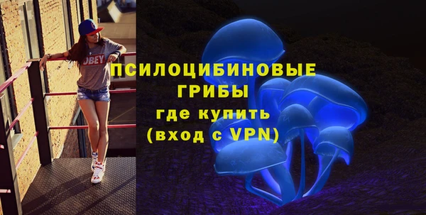дмт Ладушкин